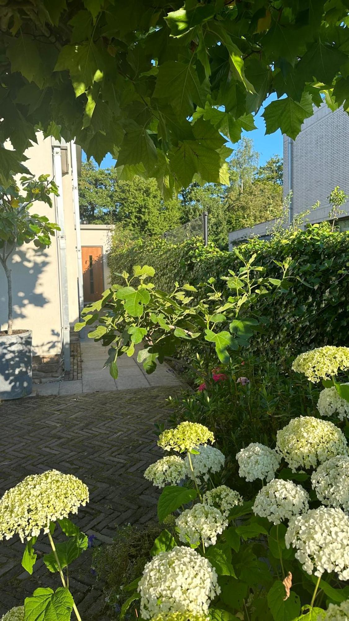Luxe B&B "In De Schulp", Ontspan En Geniet Van Comfort En Stijl アムステルフェーン エクステリア 写真