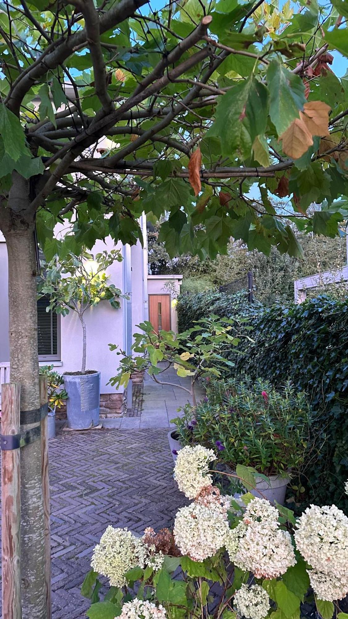 Luxe B&B "In De Schulp", Ontspan En Geniet Van Comfort En Stijl アムステルフェーン エクステリア 写真